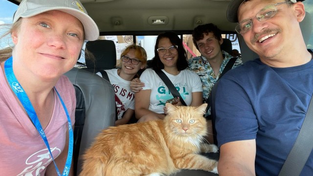 Cat Sneaks into Family Car & Joins Their Road Trip, Becomes Instant Celebrity