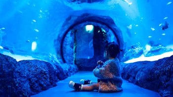 Little girl sitting in an aquarium