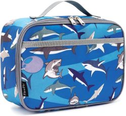 Fly Flow Kids Lunch Box