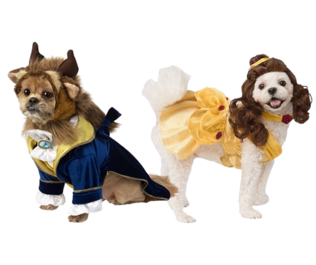 Beauty and the Beast dog costumes