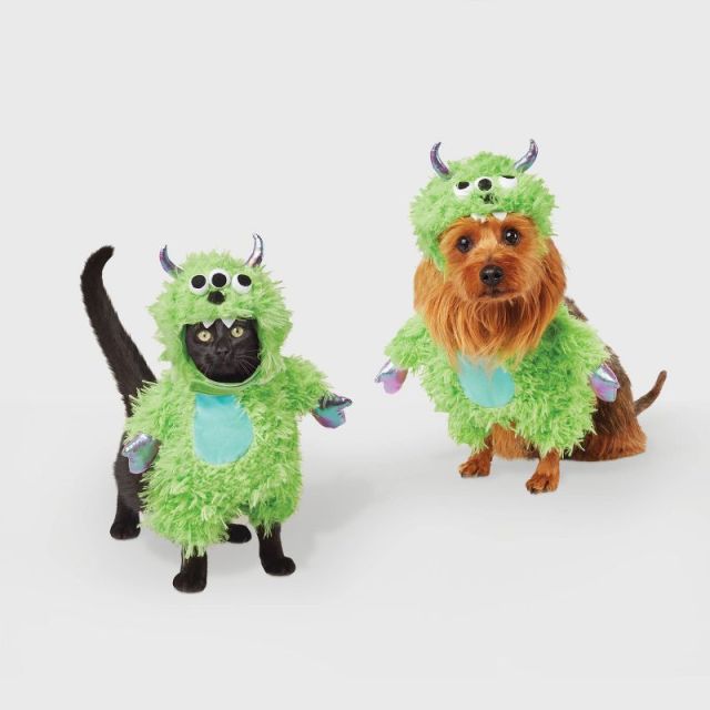 cat and dog in monster costumes