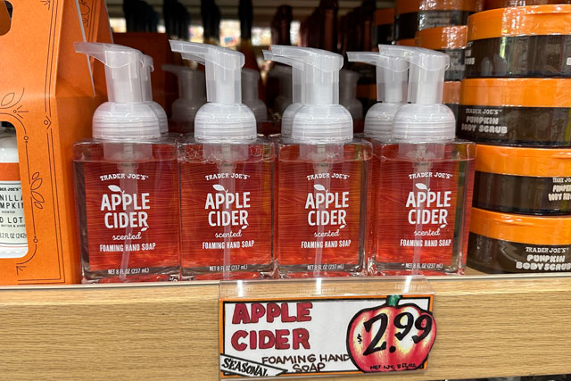 best fall trader joes items apple cider foaming hand soap