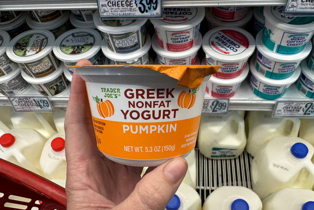 best fall trader joes items pumpkin greek yogurt