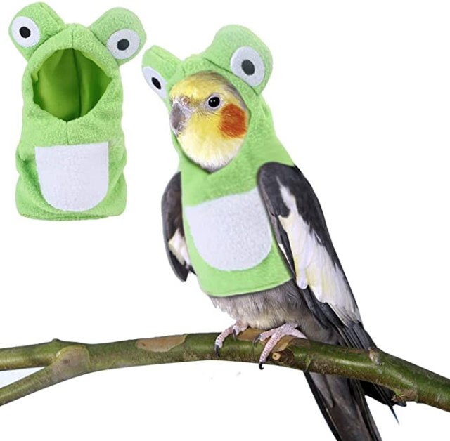 bird wearing frog costume