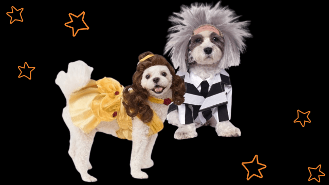 Lick-or-Treat! Pet Costumes Just in Time for Howl-oween