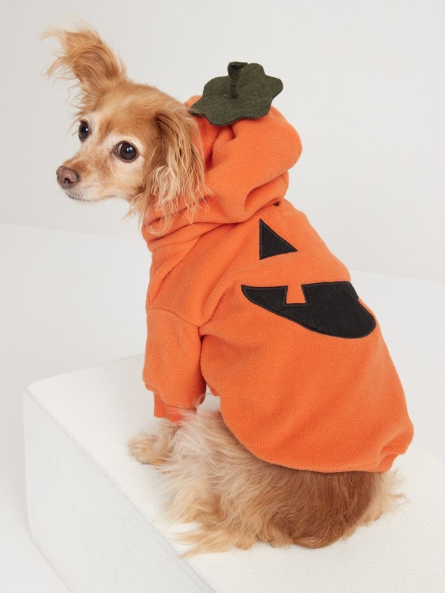 dog wearing a pumpkin fleece hoodie