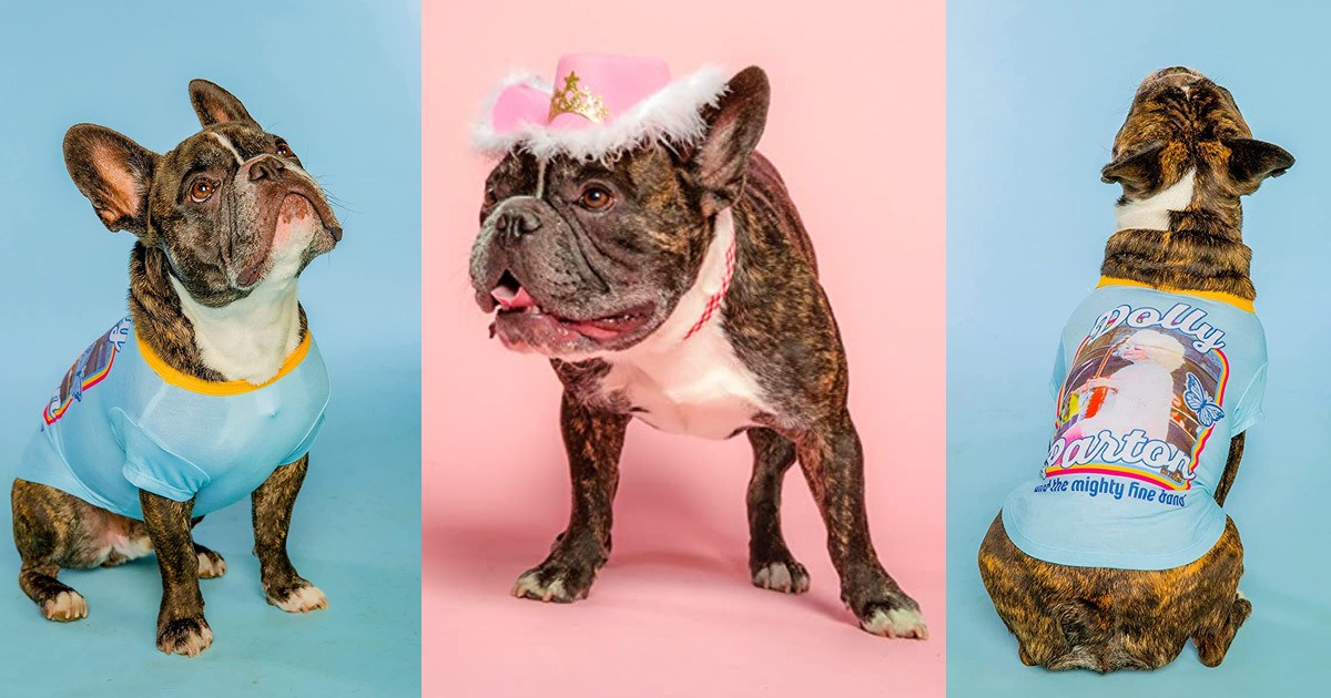 Say Hello to Doggy Parton, a Dog Apparel Line from Dolly Parton