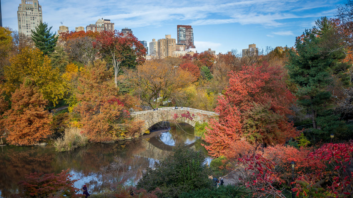 NYC's Best Fall Activities For Families