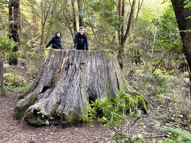 two boys on a tree stump while family camping