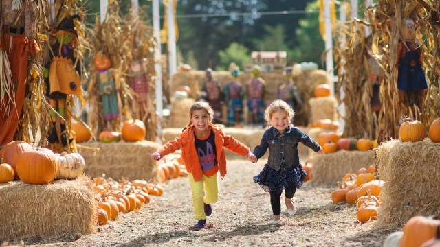 two girls hold hands running through a pumpkin patch with haybales and pumpkins along the side