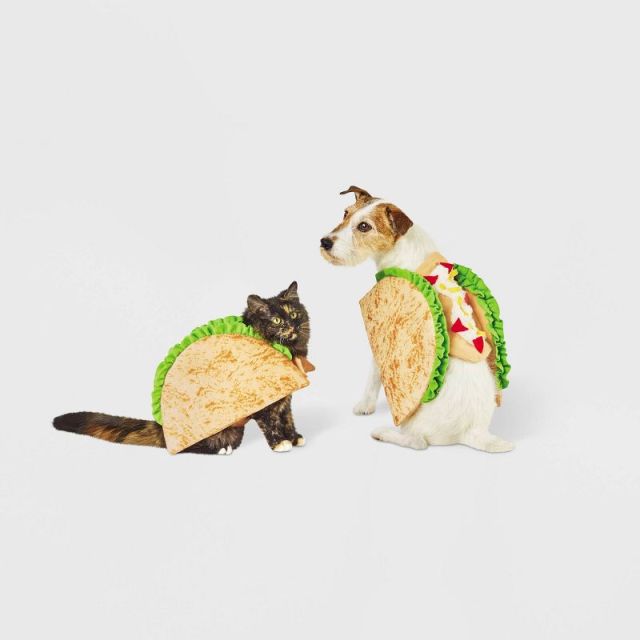 dog and cat wearing taco costume