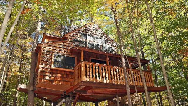 a treehouse rental in new england is obscured by leaves
