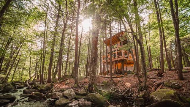 9 Magical Treehouses Families Can Actually Rent in New England