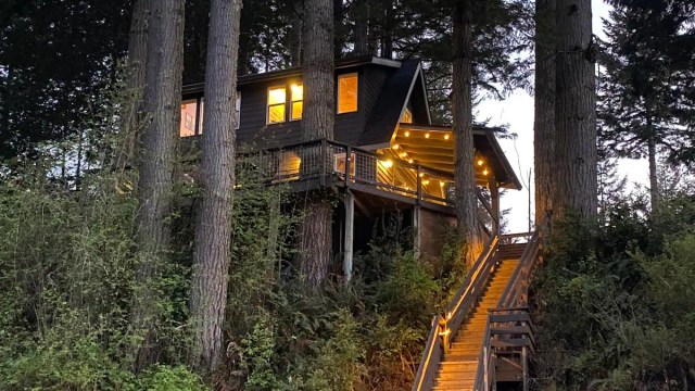 a lighted treehouse near a lake with large trees in front in oregon