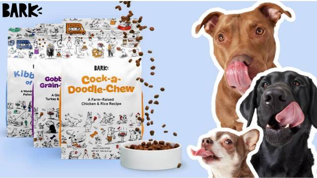 Dog Products We’re Drooling Over