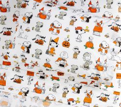 Snoopy Peanuts sheet set