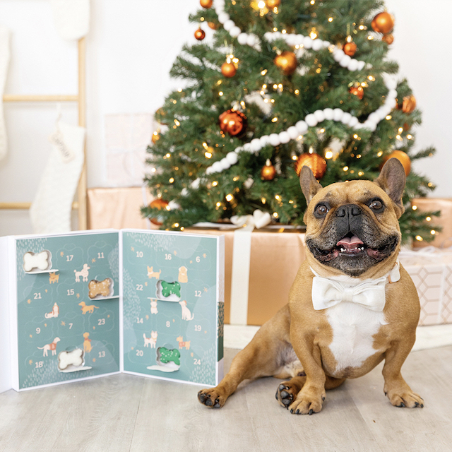 advent calendar for dogs