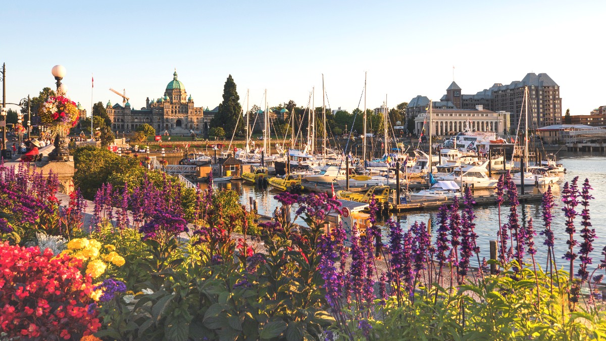 Things to Do in Victoria, BC Tinybeans