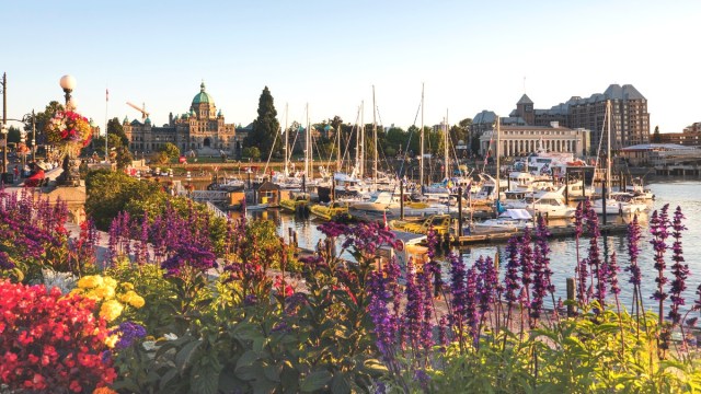 Best things to do in Victoria, BC
