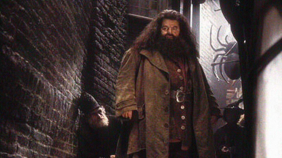 Robbie Coltrane, Known for Role as Hagrid, Has Died