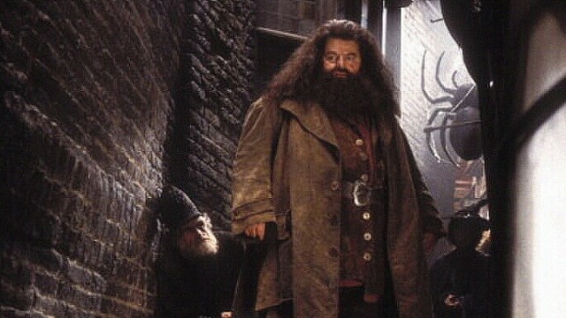 ‘Harry Potter’ Actor Robbie Coltrane Has Died