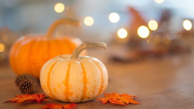 Thanksgiving Decor Ideas That’ll Make You Feel Like a Grown-Up