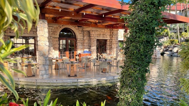 the patio across a Koi pond surrounded by trees at the Hyatt Regency Resort Aruba