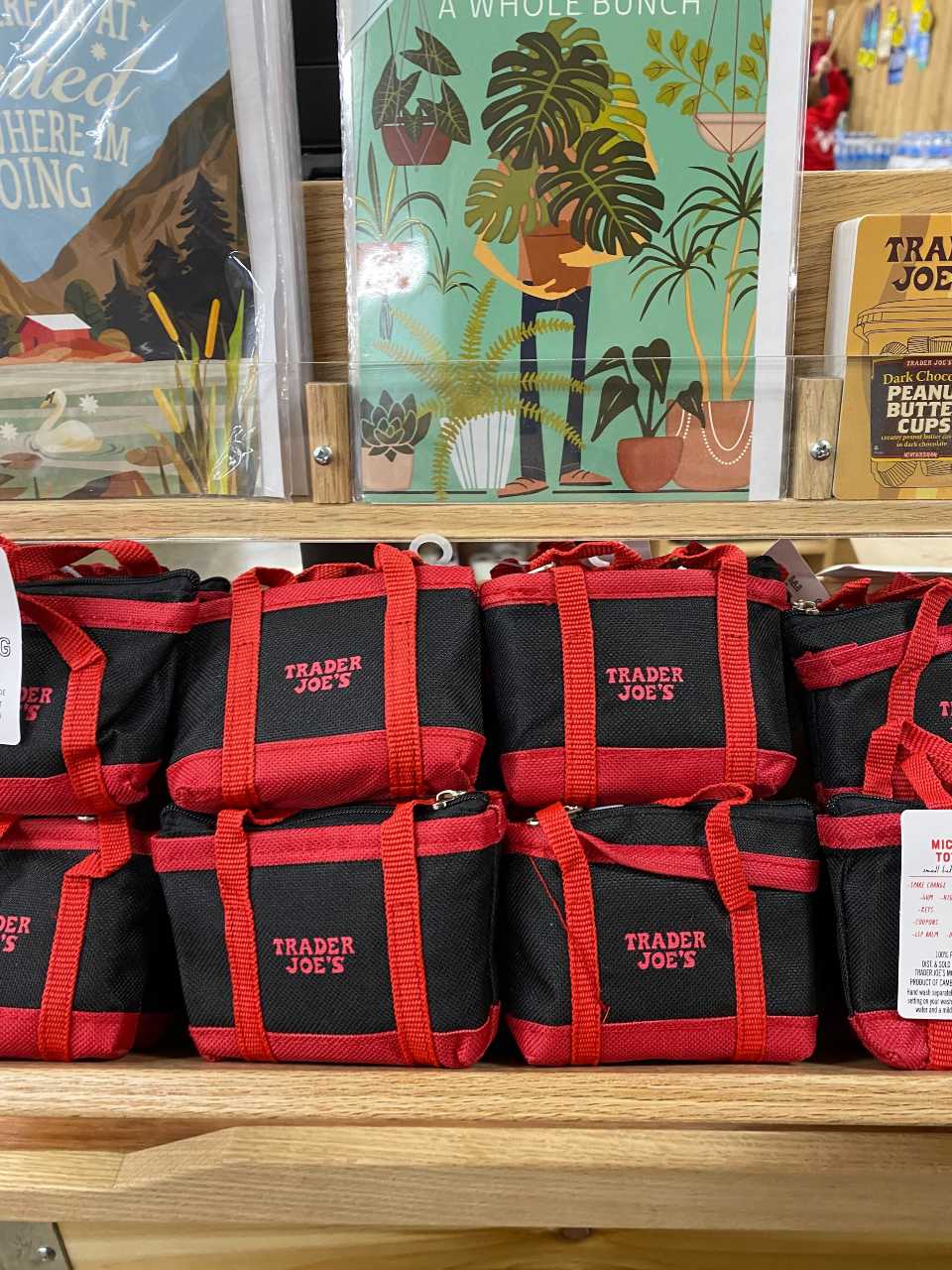Trader Joe’s Just Dropped Adorable Mini Totes Tinybeans