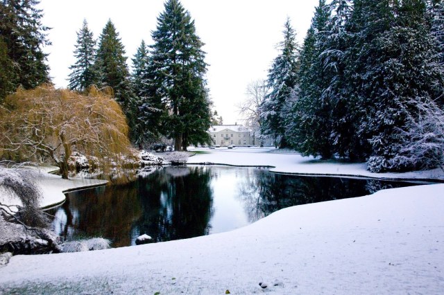 seattle places to visit in winter