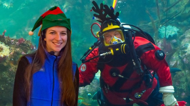 A diving santa and an elf at Seattle Aquarium are one of many Seattle christmas events for families in the area