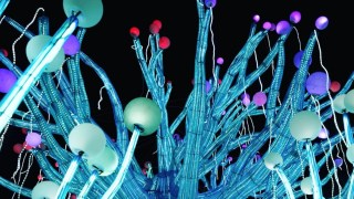 best holiday events in the bay area