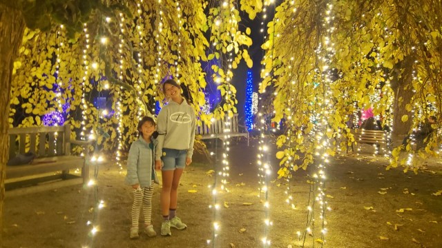 best holiday light displays sf bay ara