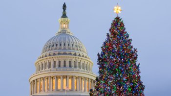 Christmas tree in front of US Capitol Building in Washington DC