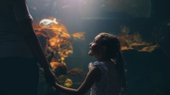 girl looking up at aquarium