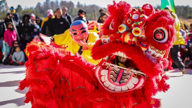 a red lion dances with a masked person in the background during a lunar new year seattle celebration