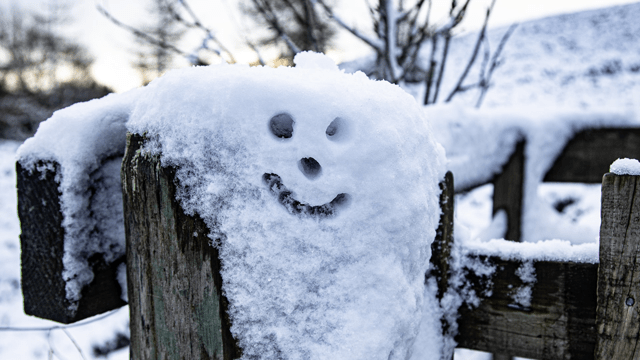 happy face in the snow in the winter