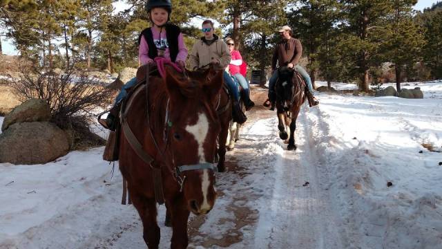 group rides horses in the snow