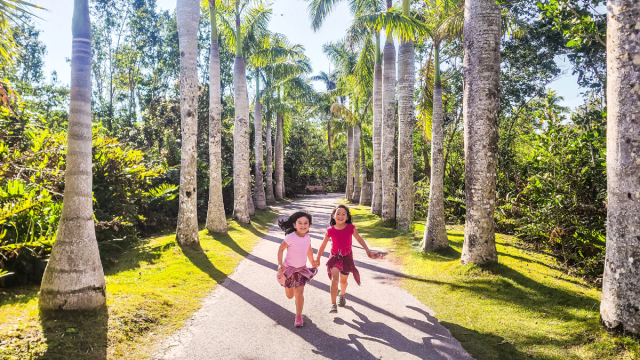 Plan an Epic Family Vacation on Marco Island