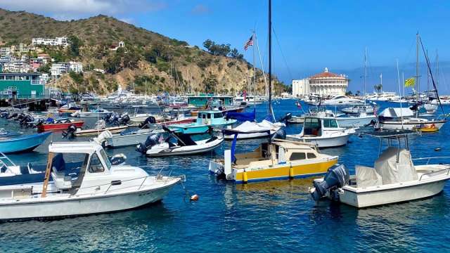 a picture of boats, one of the coolest things to do on Catalina Island with kids