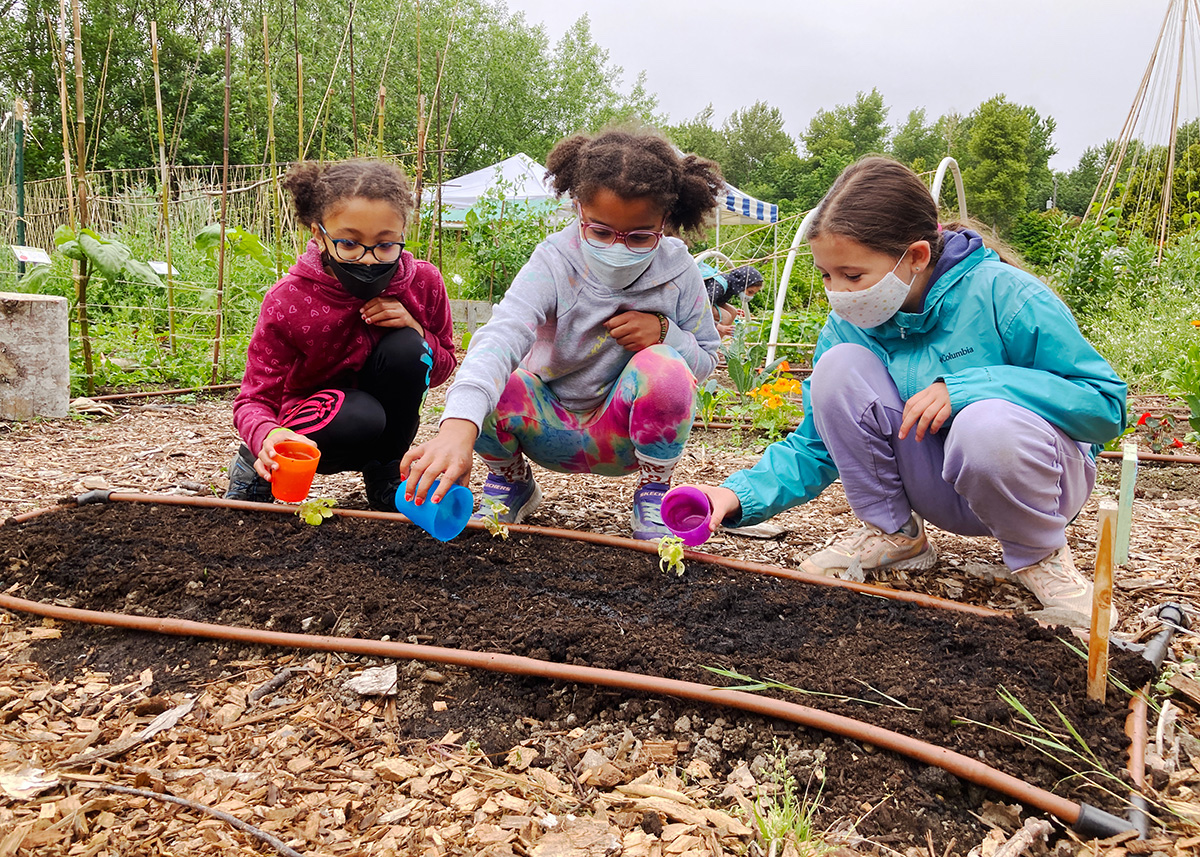 three girls dig in the dirt at an outdoor gardening seattle summer camps hosted by Tilth Alliance
