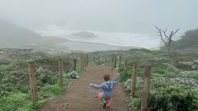 best things to do in SF with kids