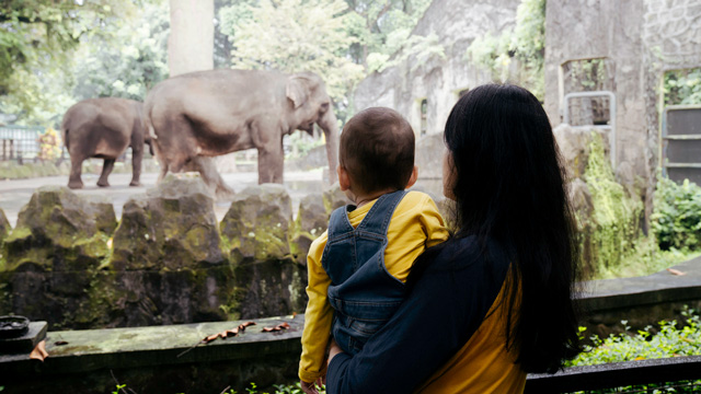 the zoo is a good place to have fun with a baby