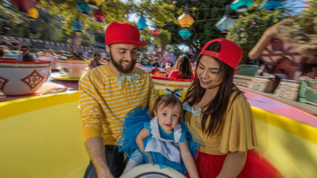 visiting disneyland with a baby or toddler