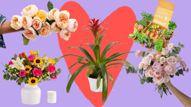 Mother’s Day Flowers: The Best Plant and Flower Subscriptions