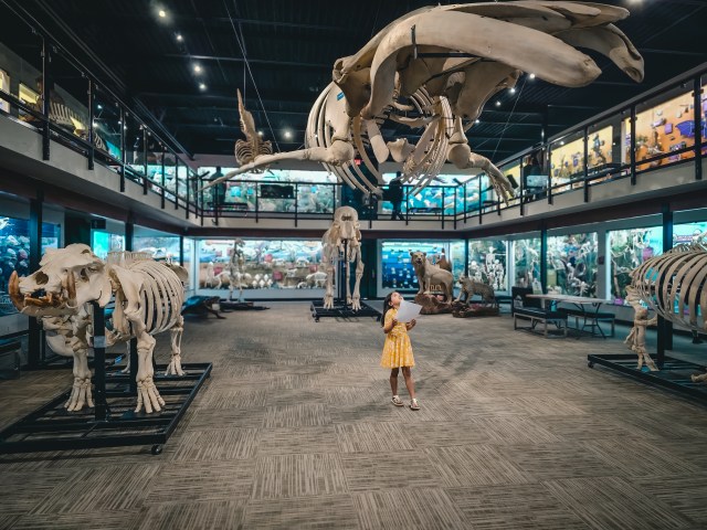 kid visiting museum in Oklahoma City