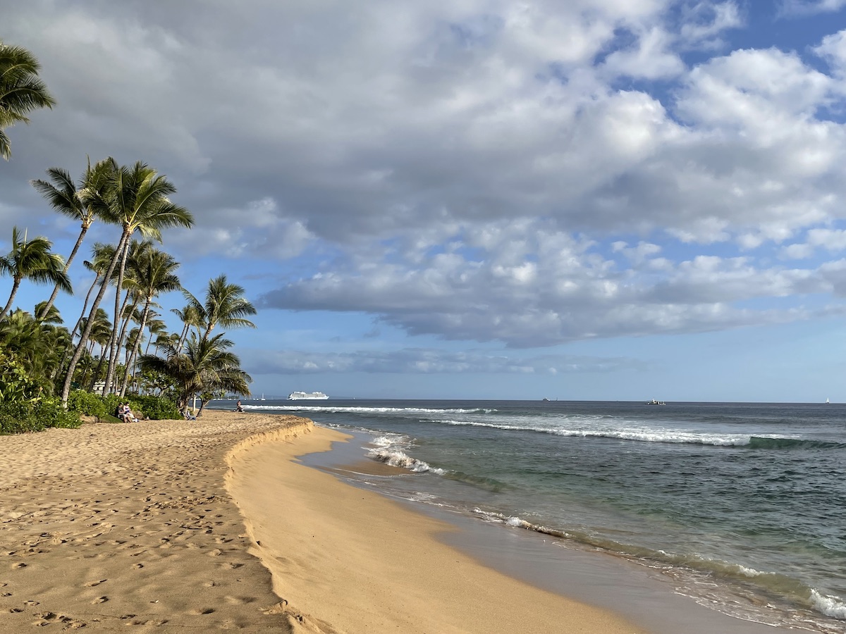 Palm trees along the sandy beach at Marriott Maui Ocean Club resort
