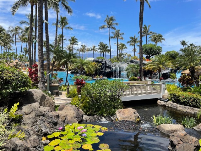 pools at Maui Ocean Club with palm trees and a waterfall