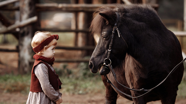 little girl looking at a pony