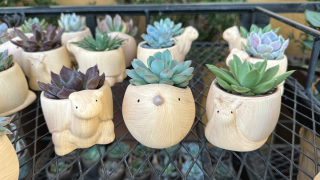 The new Trader Joe's planters are cute animals