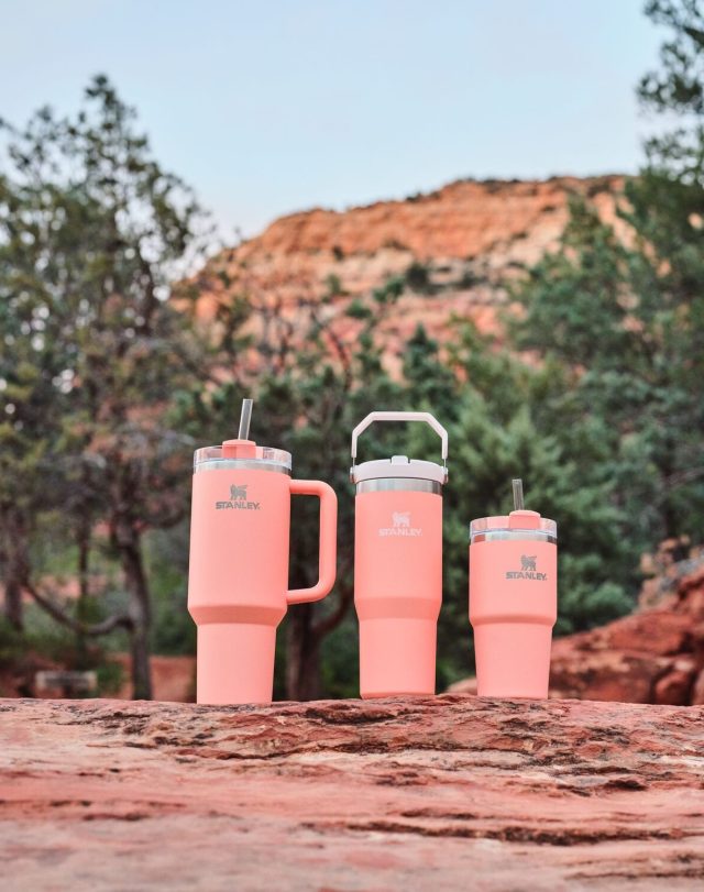 Target stanley cups in desert